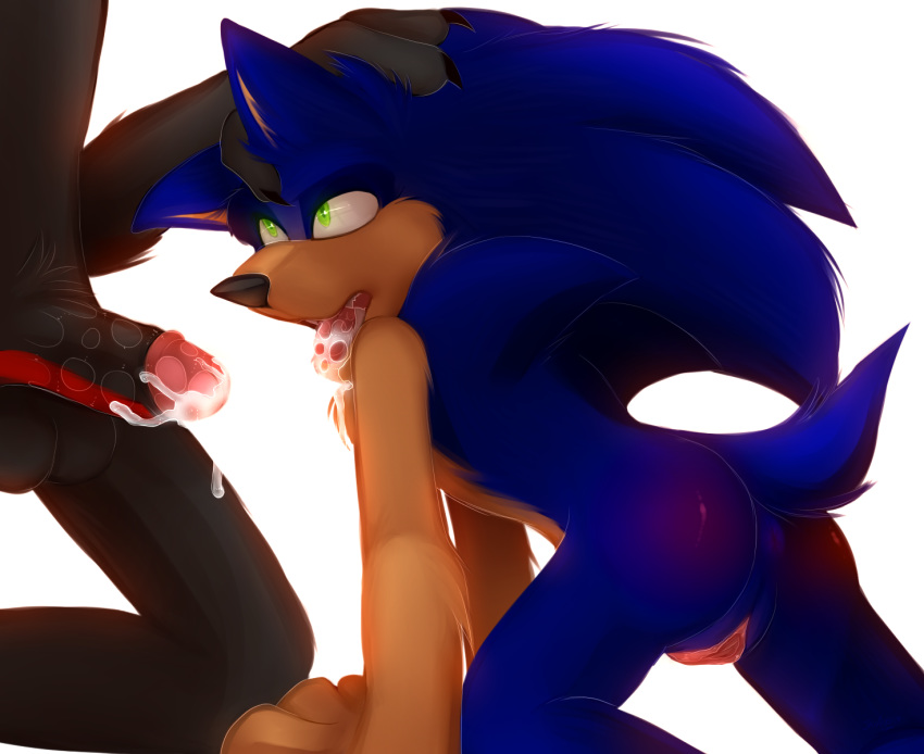 werehog sonic the the werehog shadow vs Lady and the tramp