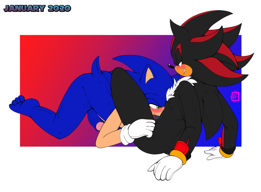 hedgehog blue sonic arms the Kate and humphrey alpha and omega